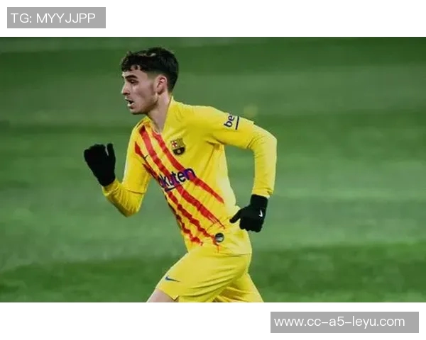 诺坎普马赛克艺术家以心脏和肺为灵感激发球场热情与能量 诺坎普马赛克艺术家以心脏和肺为灵感激发球场热情与能量